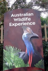 Dreamworld Corroboree formerly Australian Wildlife Experience gives you the opportunity to see some native Australian animals.