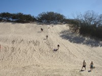 Sand Tobogganing at South Stradbroke Island