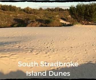 South Stradbroke Island sand dunes